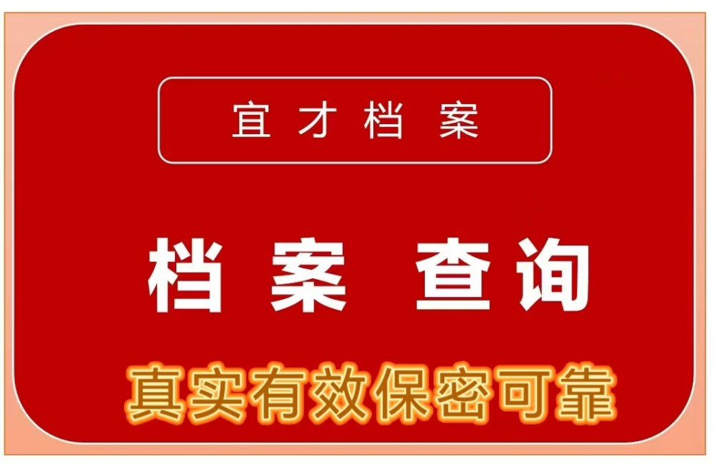 档案查询